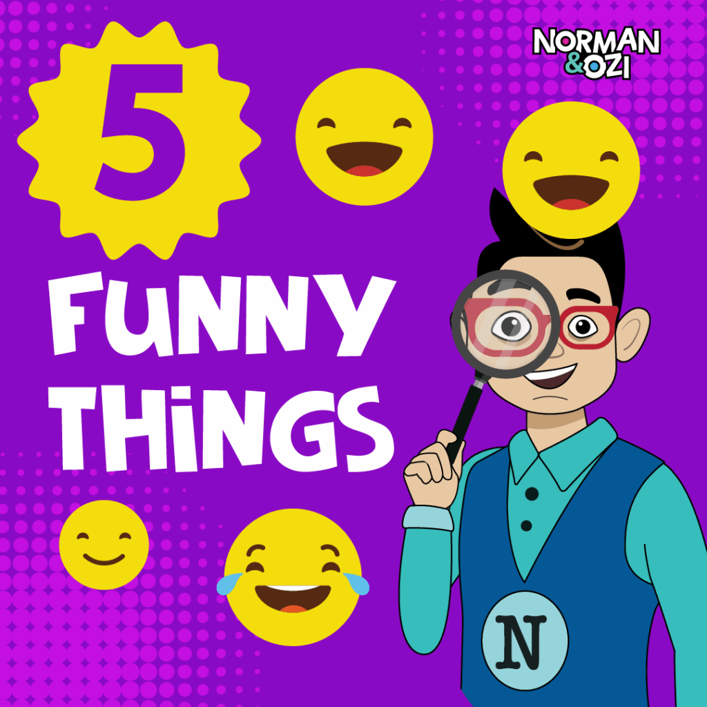 5 funny things